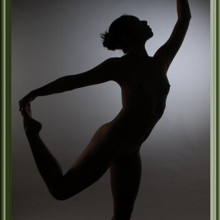 Art-Shadow