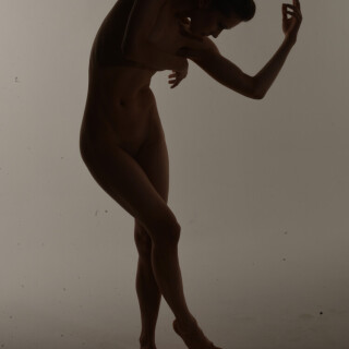 Fine-Art