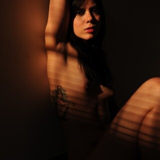 Shadows