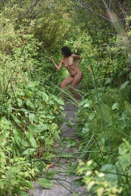 On-a-Path.jpg