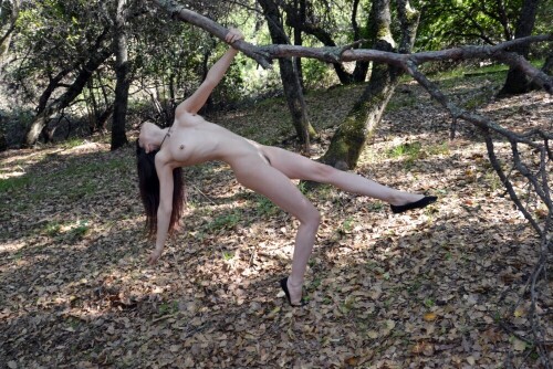 Lay-Back.jpg