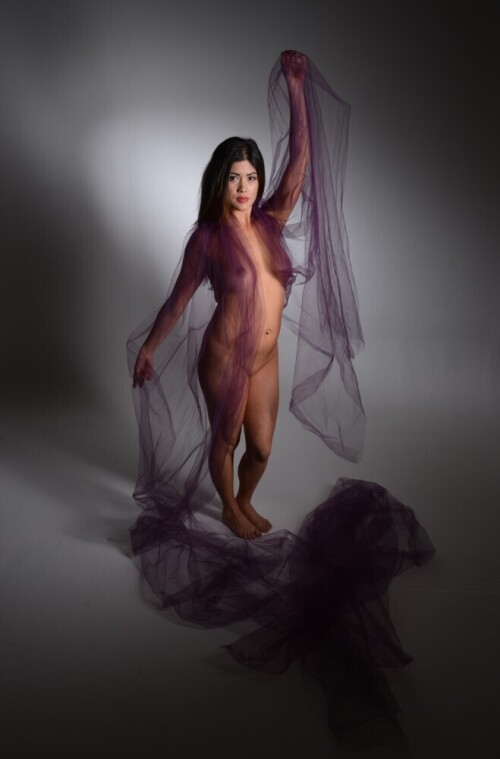 Sheer-Drape.jpg