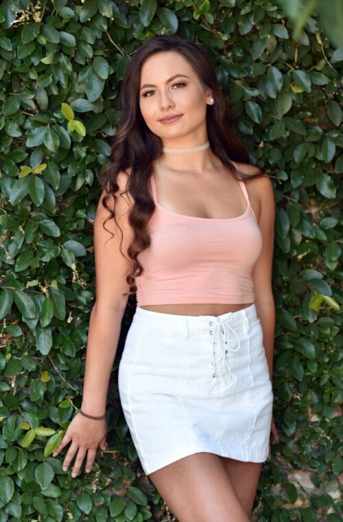 Hedge.jpg