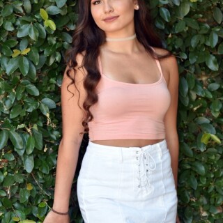 Hedge