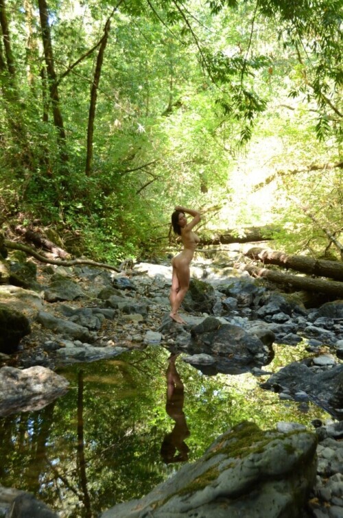 Reflection-at-Streamville.jpg